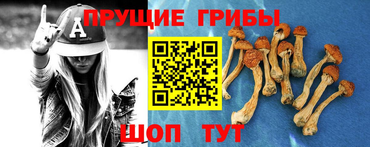Галлюциногенные грибы Psilocybe  Вход с VPN  Галлюциногенные грибы ЛСД  Всеволожск 
