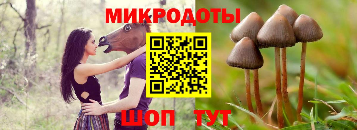 Псилоцибиновые грибы мухоморы Всеволожск